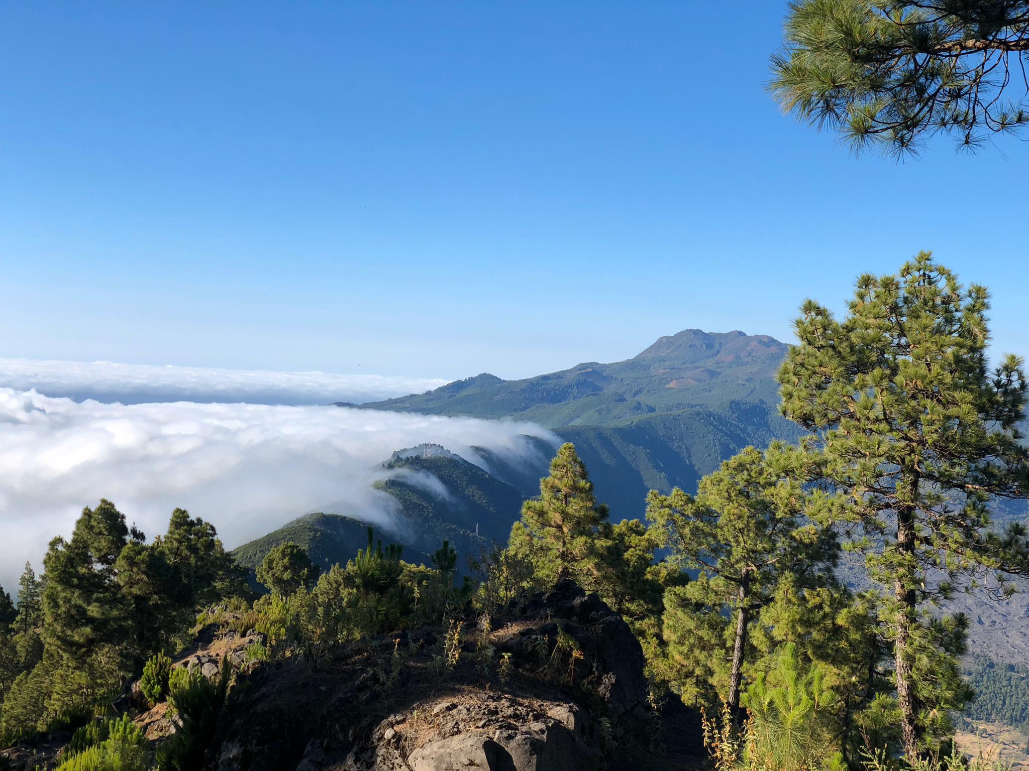 Ein Geheimtipp im Atlantik La Palma